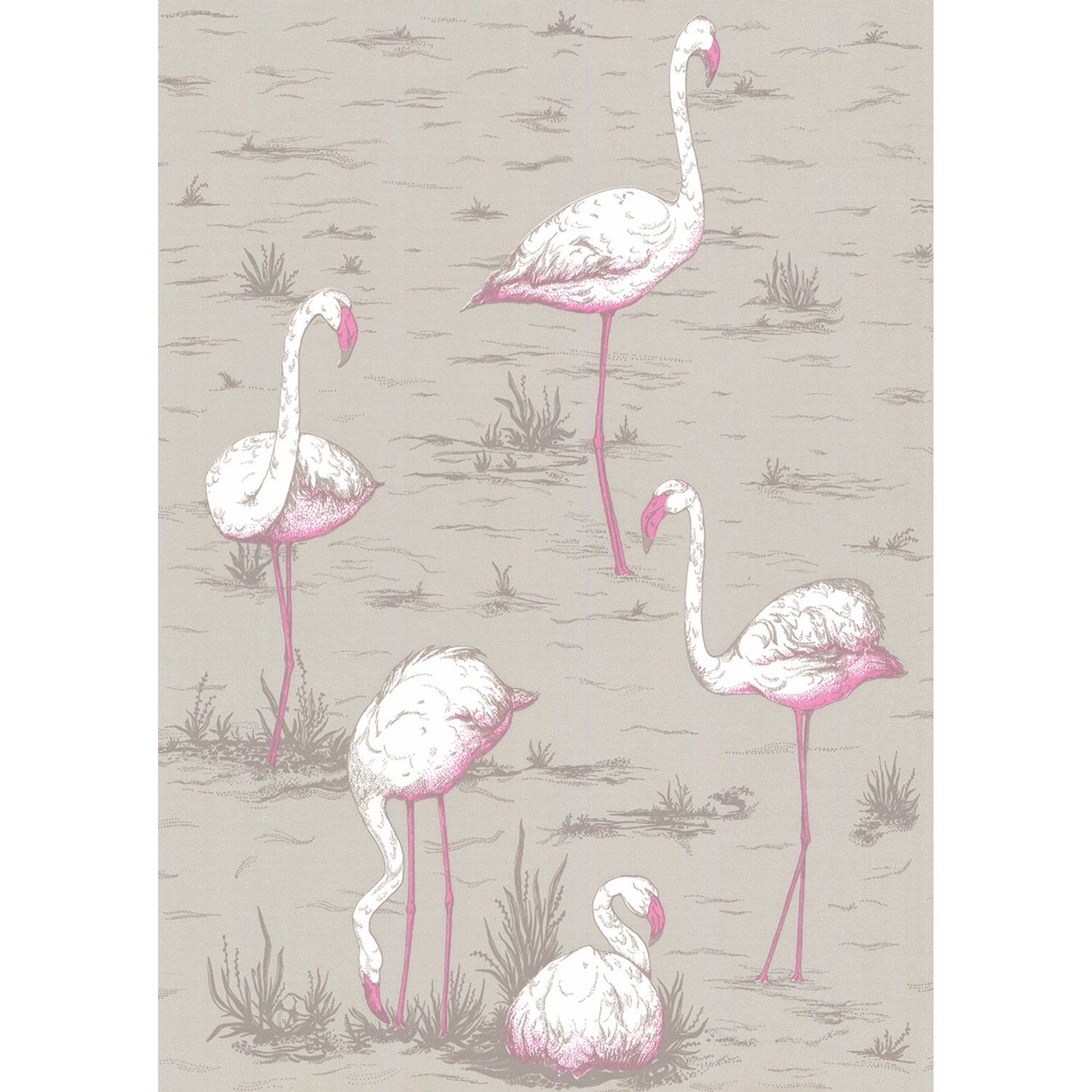 Cole & Son New Contemporary Flamingos Wallpaper