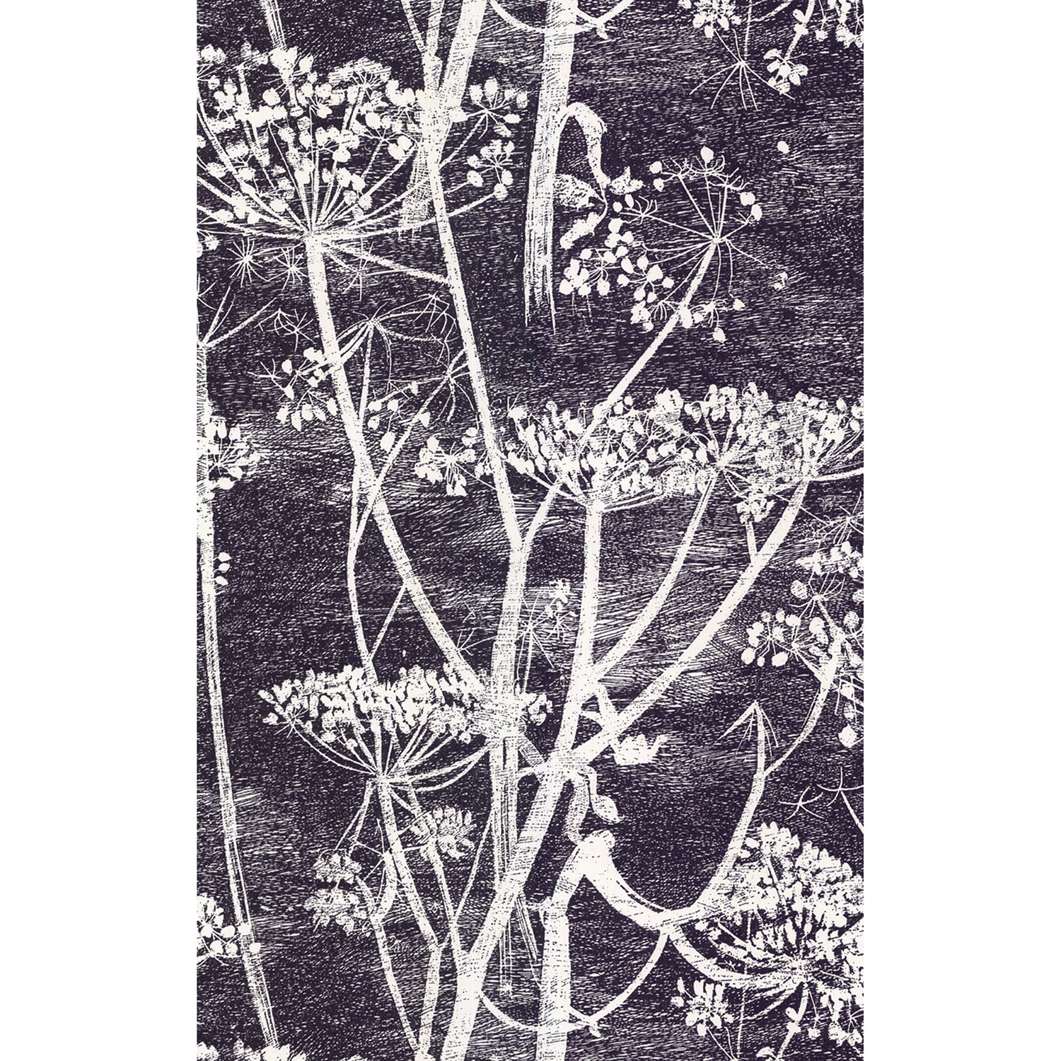 Cole & Son New Contemporary Cow Parsley Wallpaper