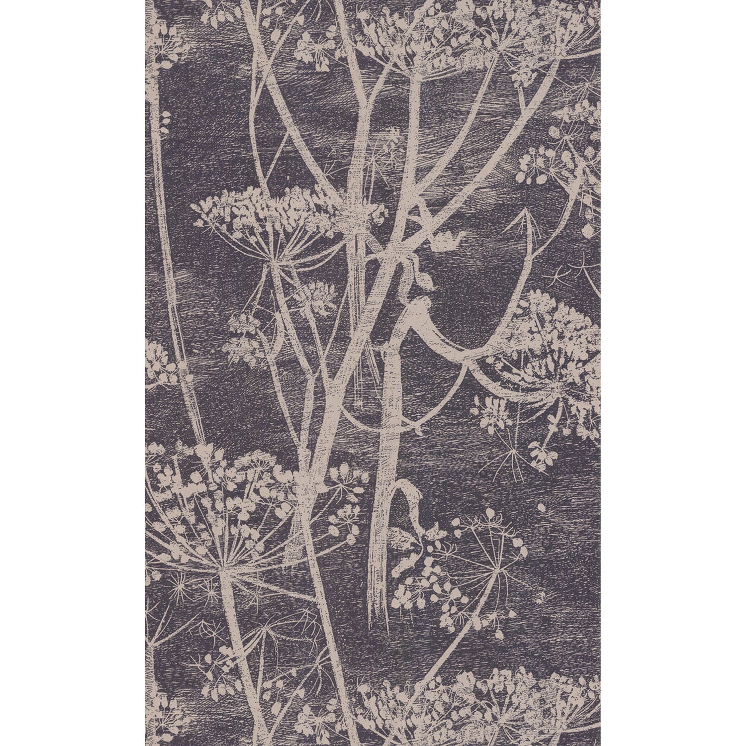 Cole & Son New Contemporary Cow Parsley Wallpaper