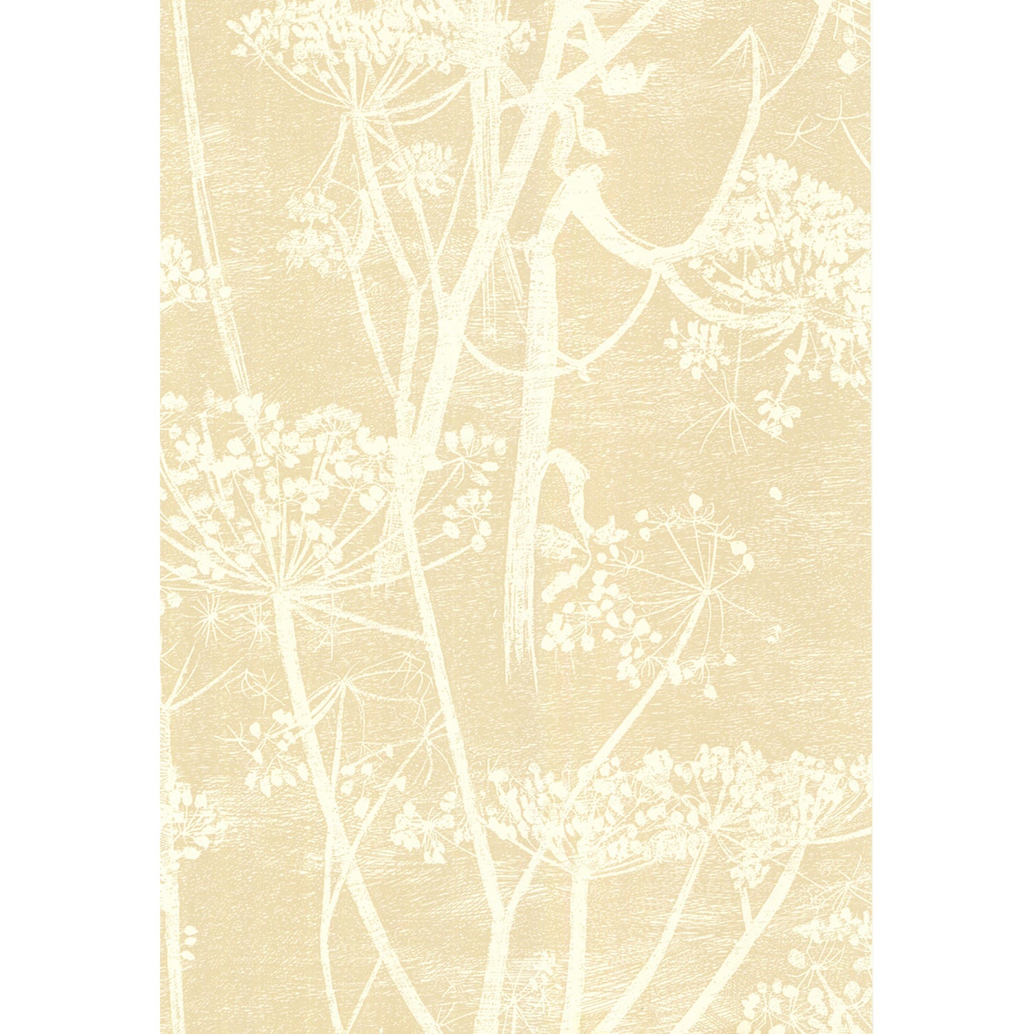 Cole & Son New Contemporary Cow Parsley Wallpaper