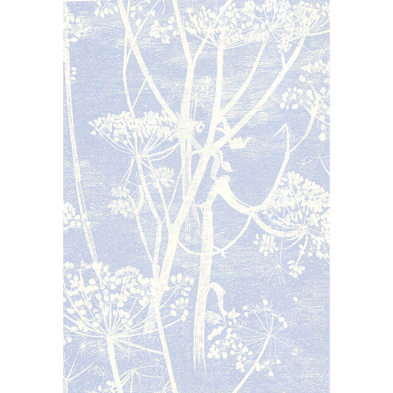 Cole & Son New Contemporary Cow Parsley Wallpaper