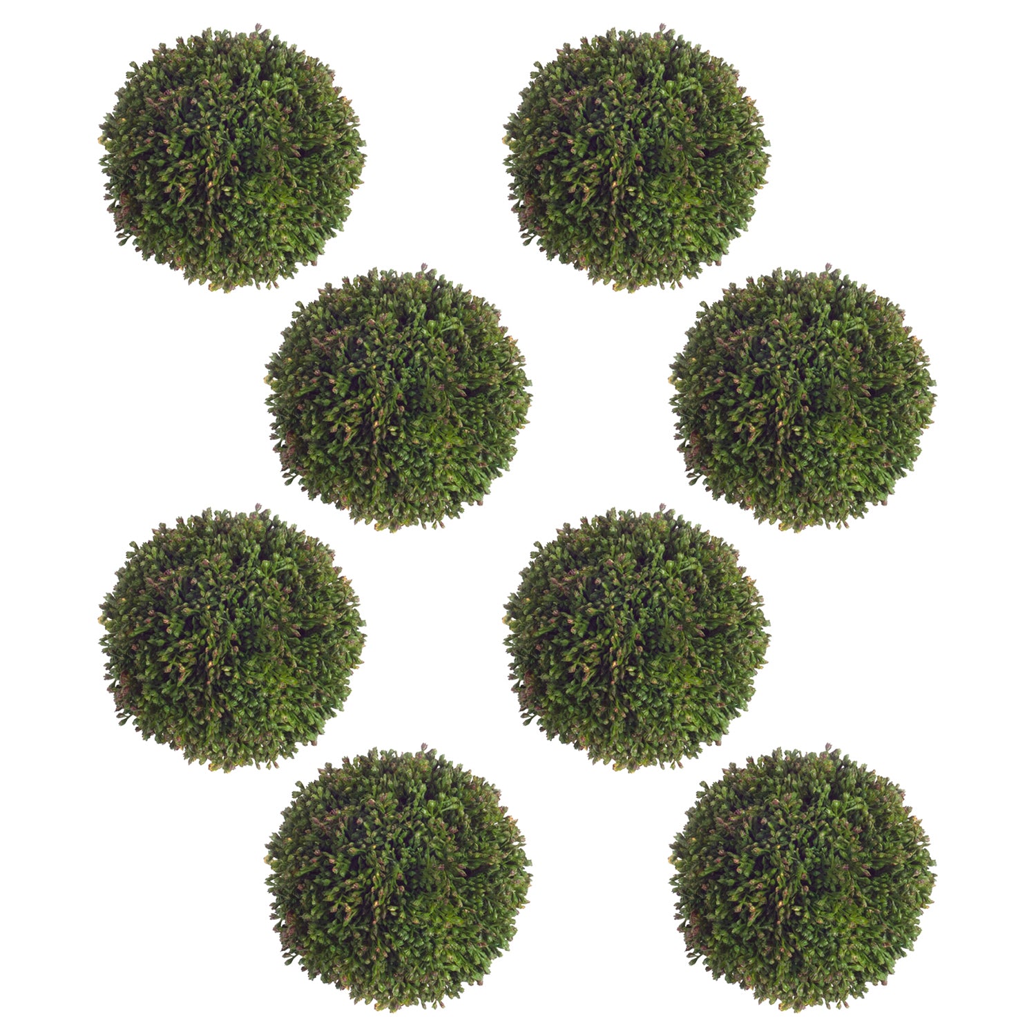 Boxwood Sedum Orb Set of 8