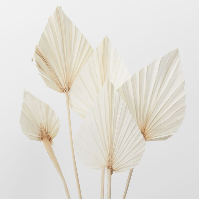 Bleached Palm Faux Plant Stem Set of 5