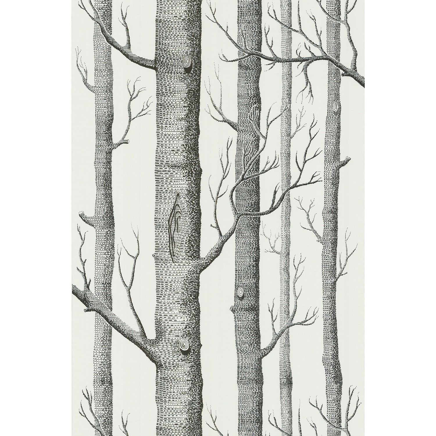 Cole & Son New Contemporary II Woods Wallpaper