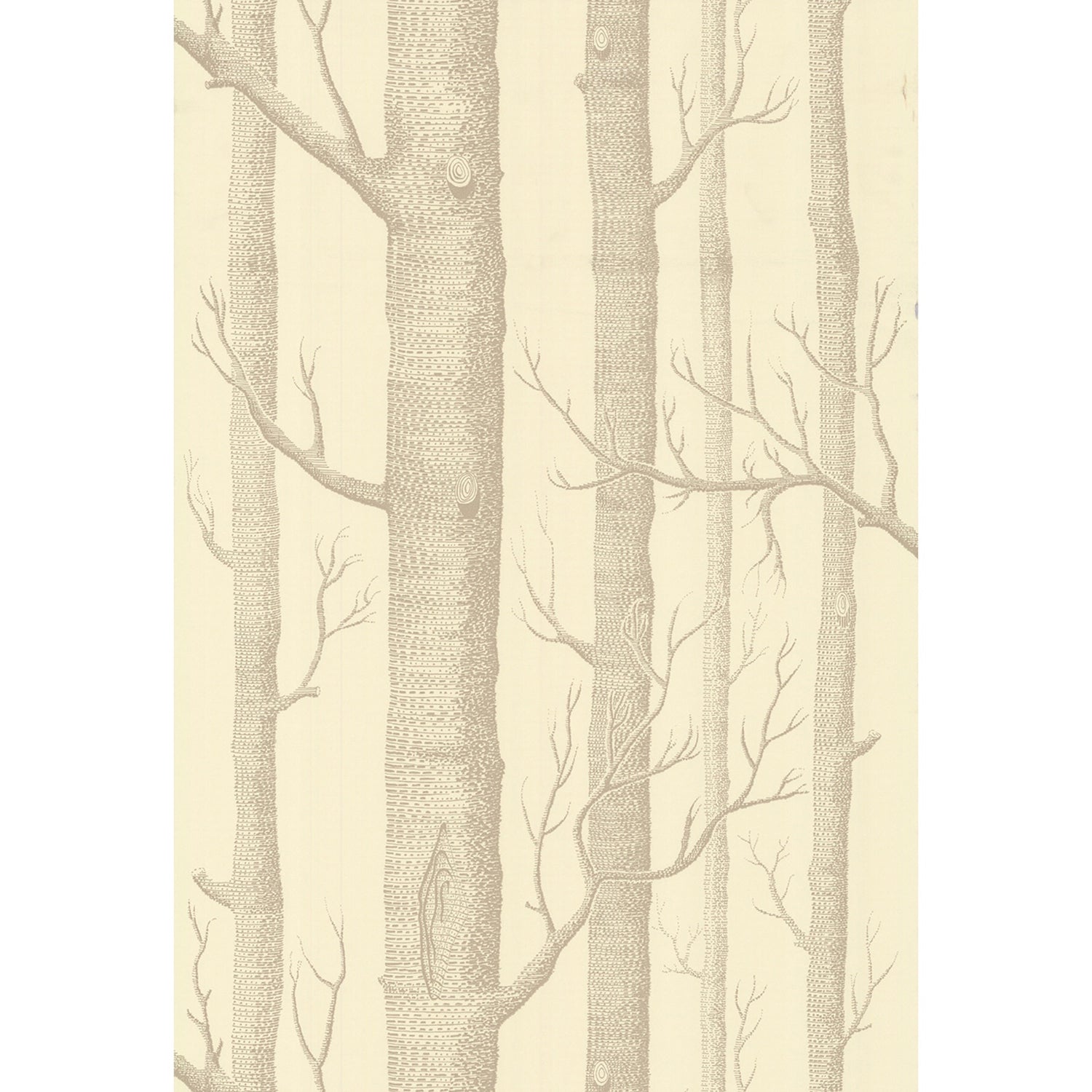 Cole & Son New Contemporary II Woods Wallpaper