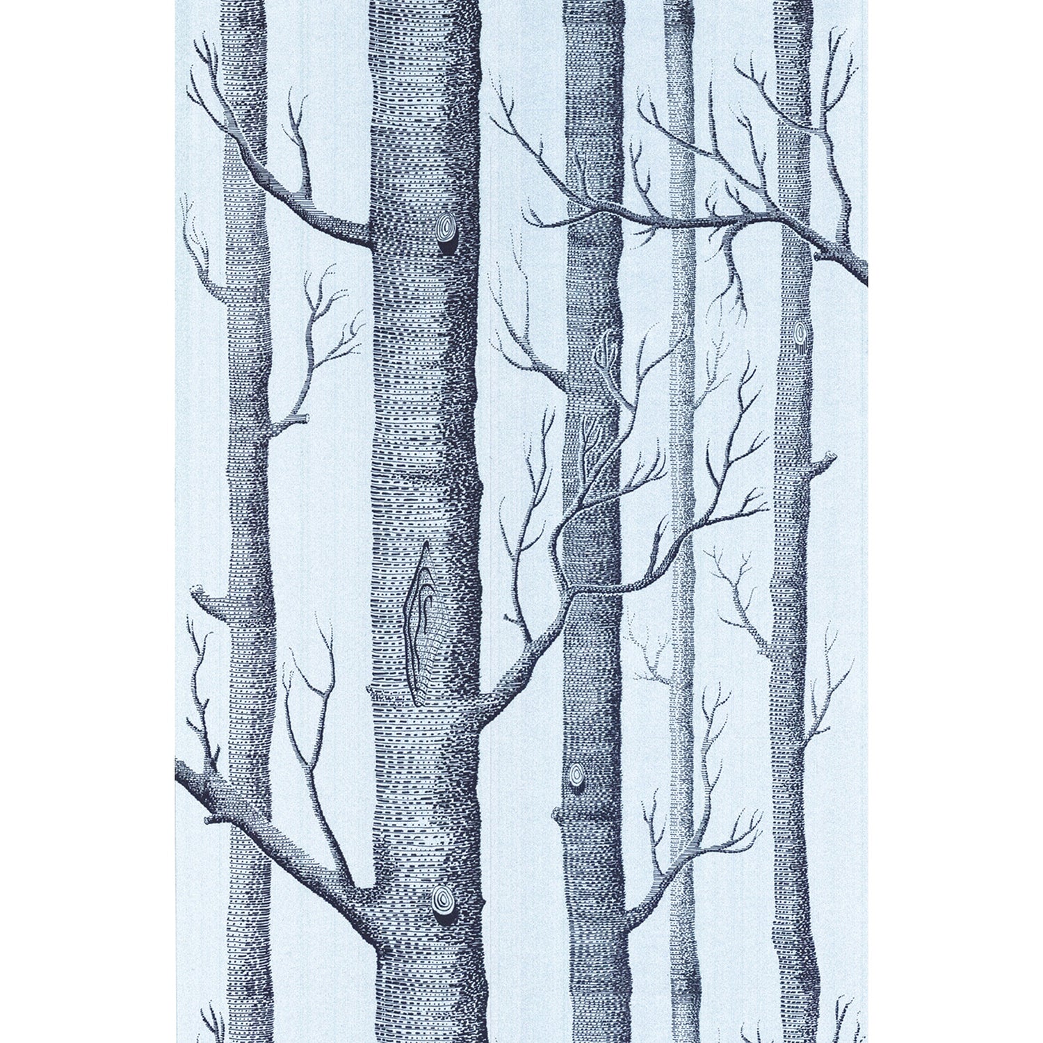 Cole & Son New Contemporary II Woods Wallpaper