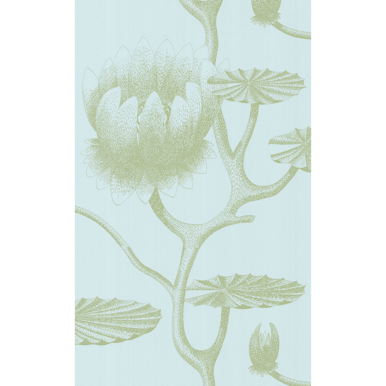 Cole & Son New Contemporary II Lily Wallpaper