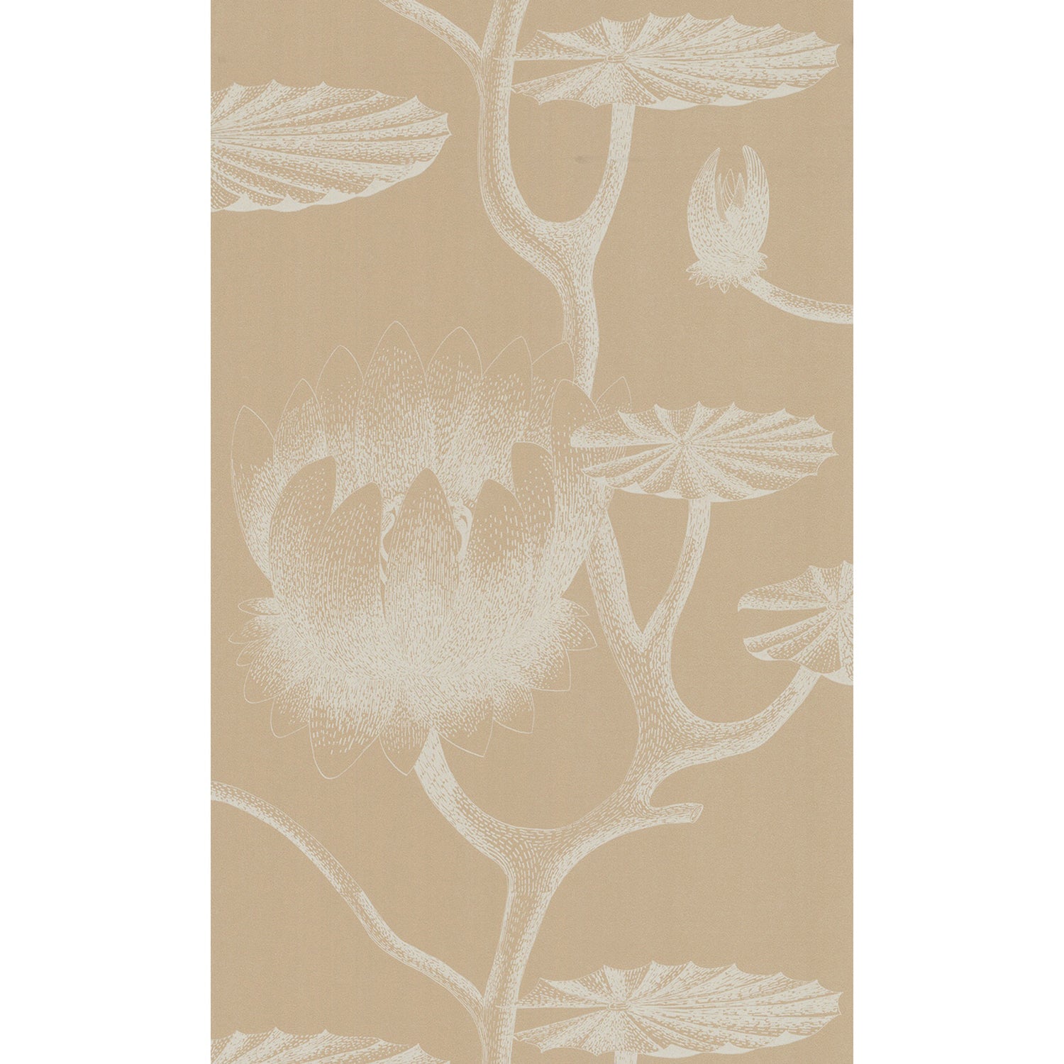 Cole & Son New Contemporary II Lily Wallpaper