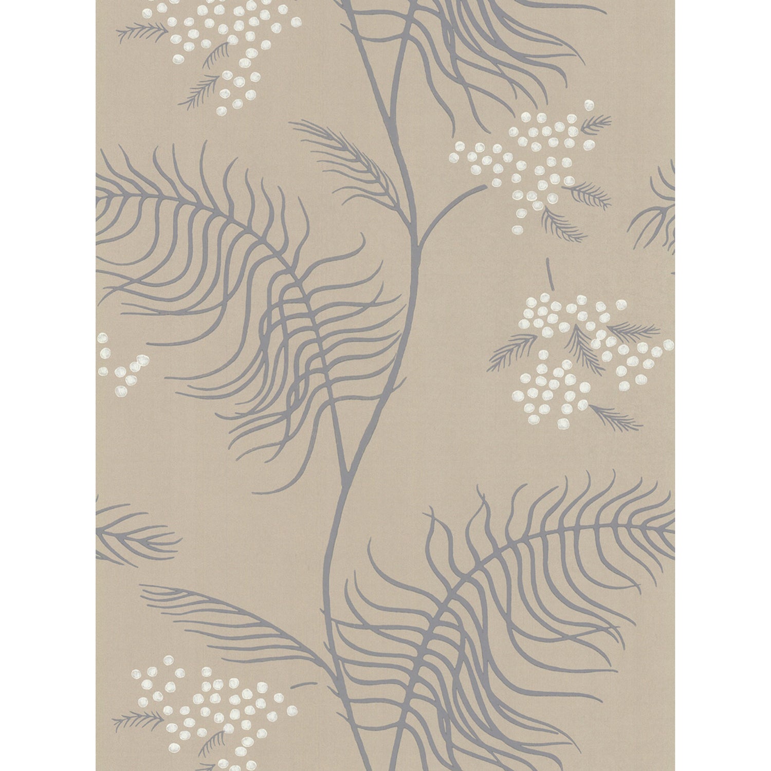 Cole & Son New Contemporary II Mimosa Wallpaper