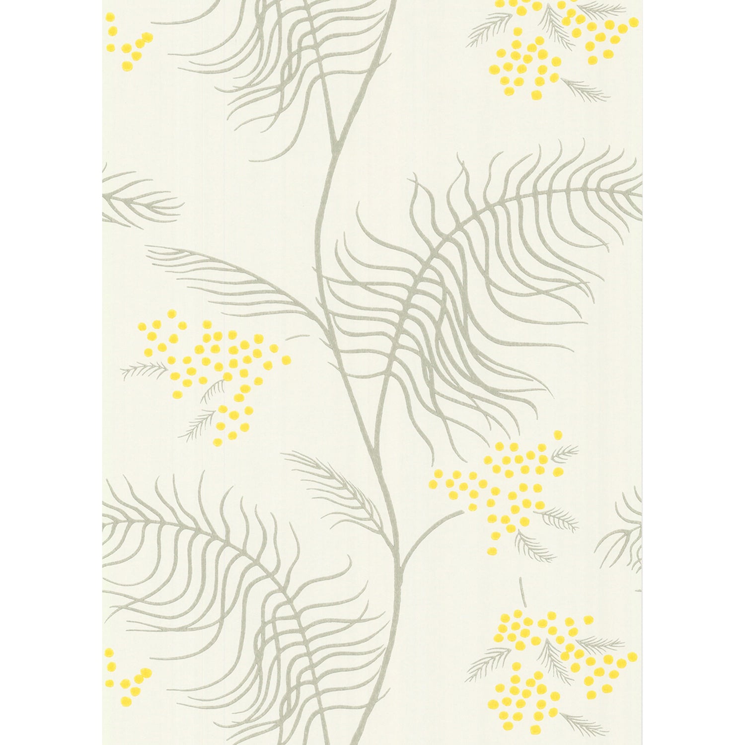 Cole & Son New Contemporary II Mimosa Wallpaper
