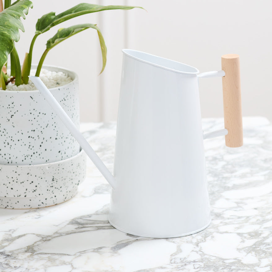 Preston Watering Can for home and event decor