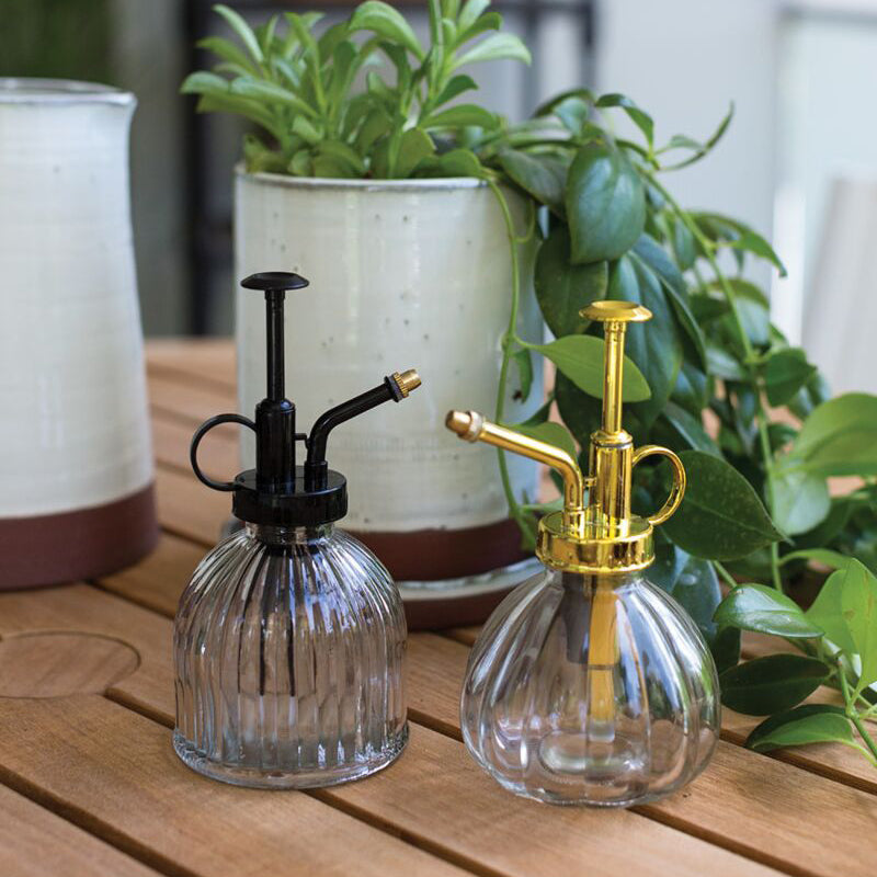 Carlise Plant Mister