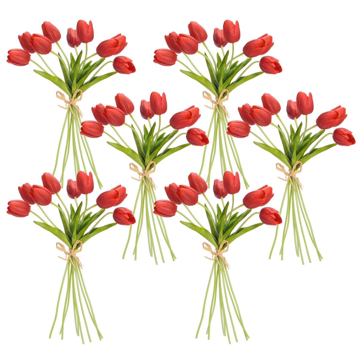 Spring Red Tulip Bundle Set of 6