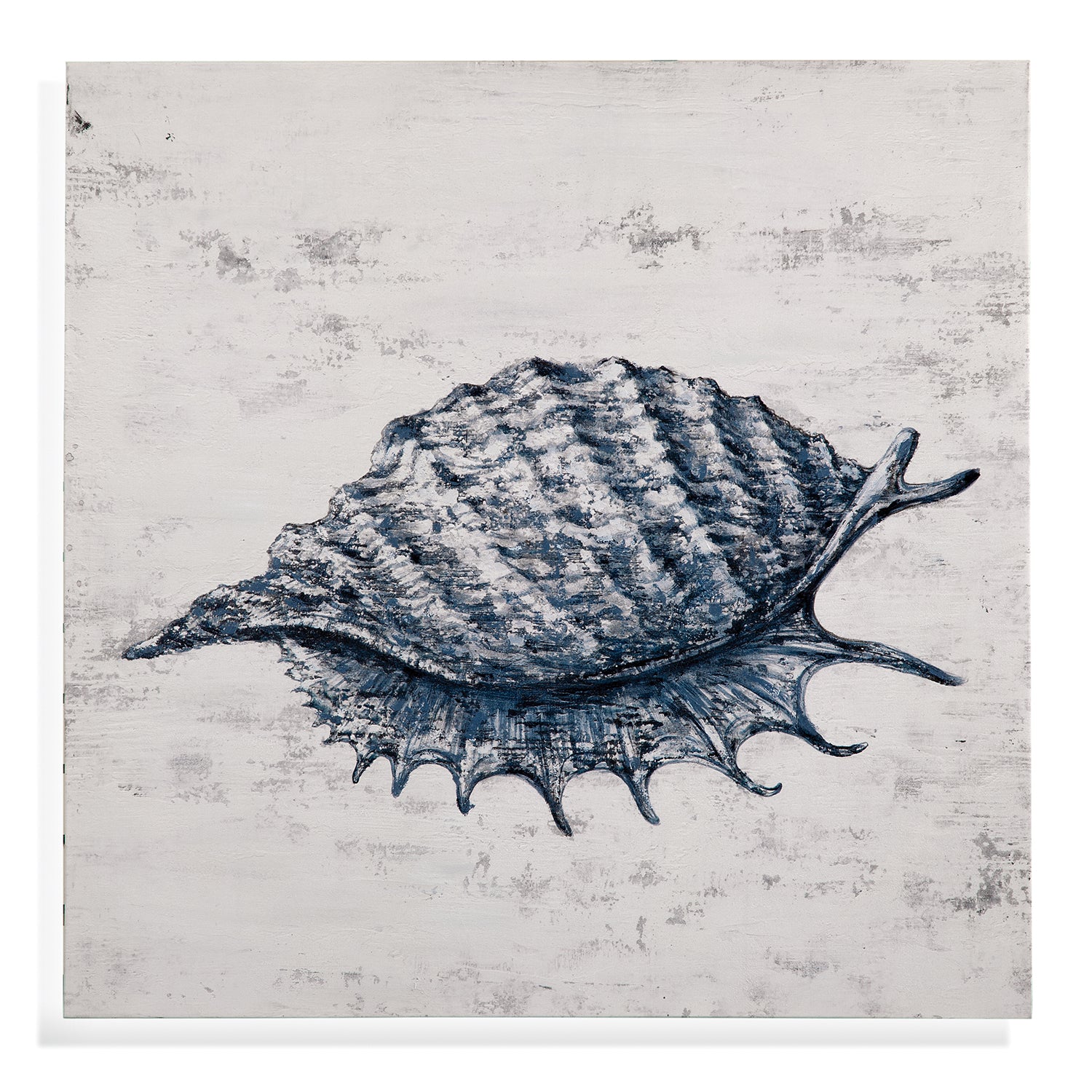 Bassett Mirror Shell I Canvas Art