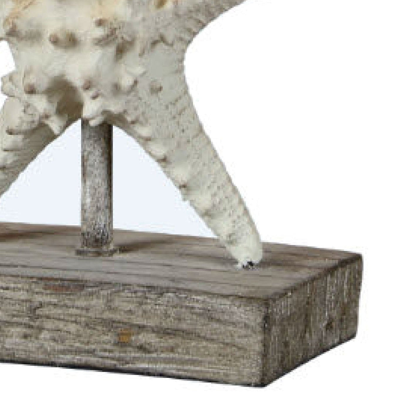 Forty West Darla Table Lamp Set of 2