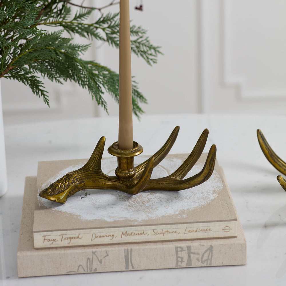 Elegant Antler Candleholder