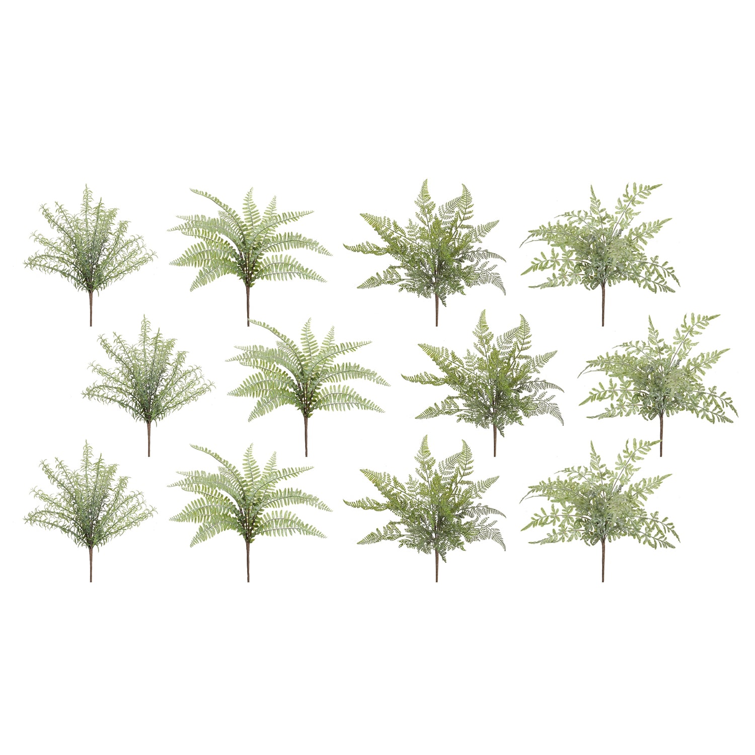 Assorted Fern Foliage Bush Set of 12