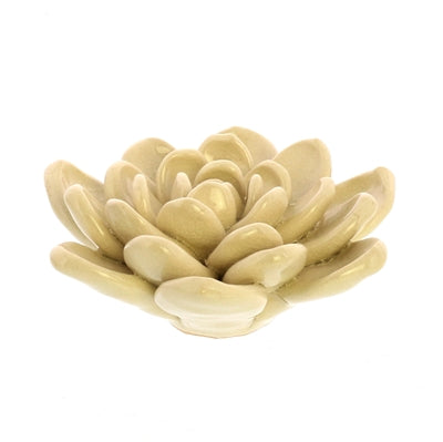 Colorful Succulent Scuplture