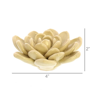 Colorful Succulent Scuplture