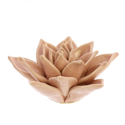 Colorful Succulent Scuplture