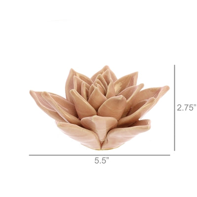 Colorful Succulent Scuplture