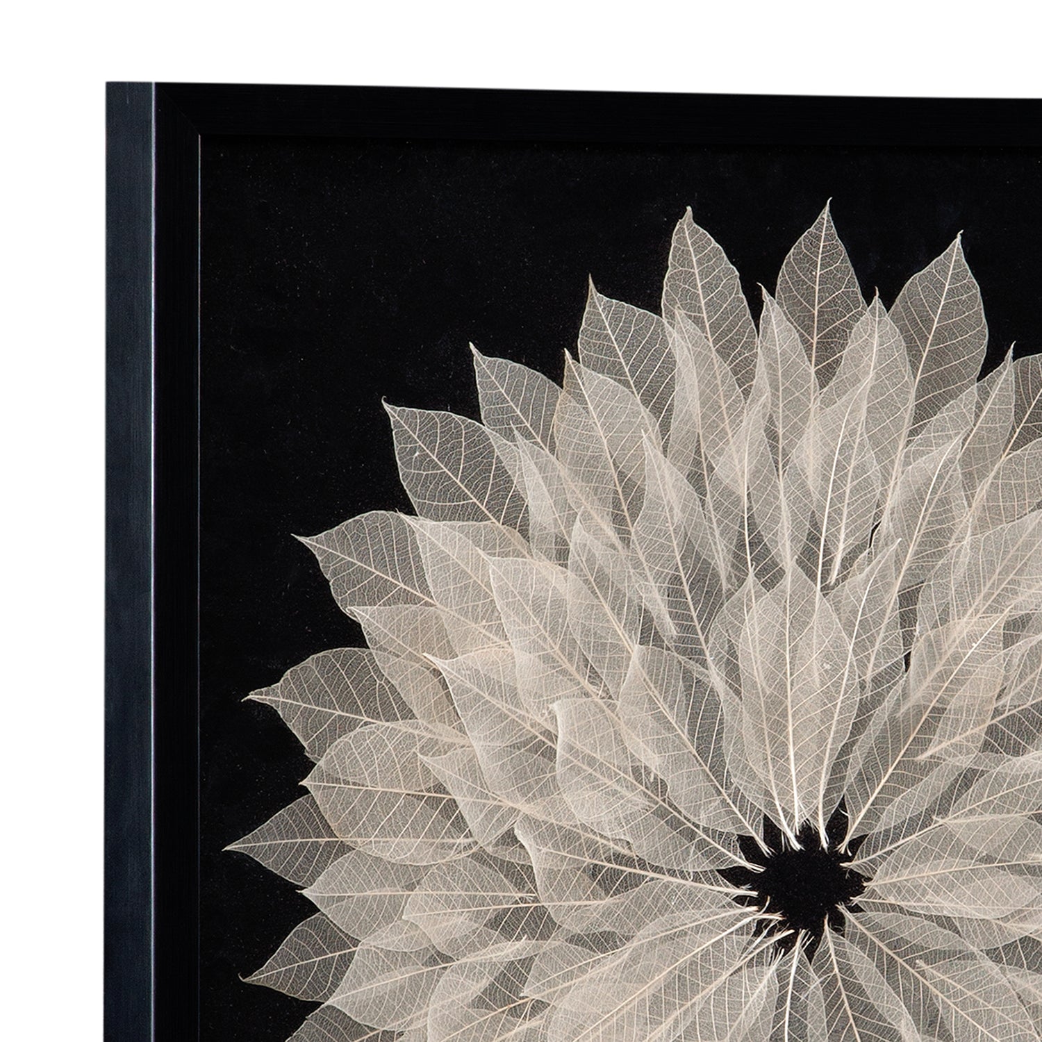 Bassett Mirror Translucent Leaf Wall Art