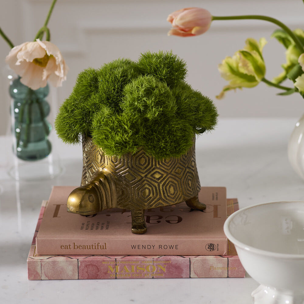 Tommie Turtle Pot shown as a styled home décor accent