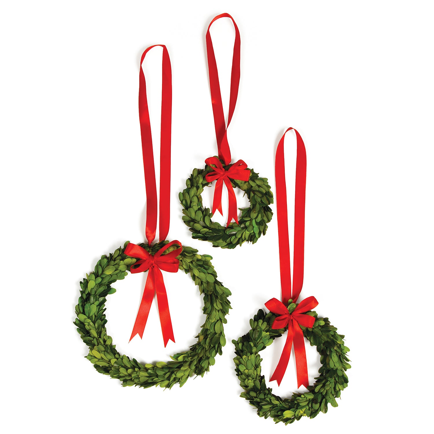 Boxwood Red Ribbon Wreath Set of 3