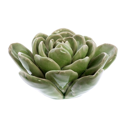 Succulent Sculpture