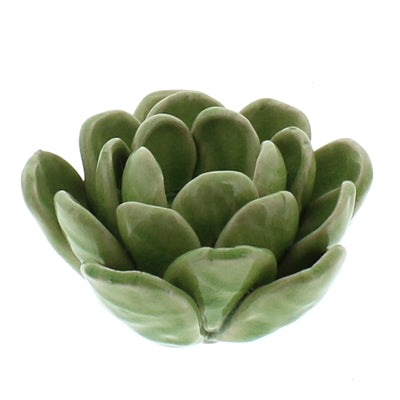 Succulent Tealight Holder Set of 2