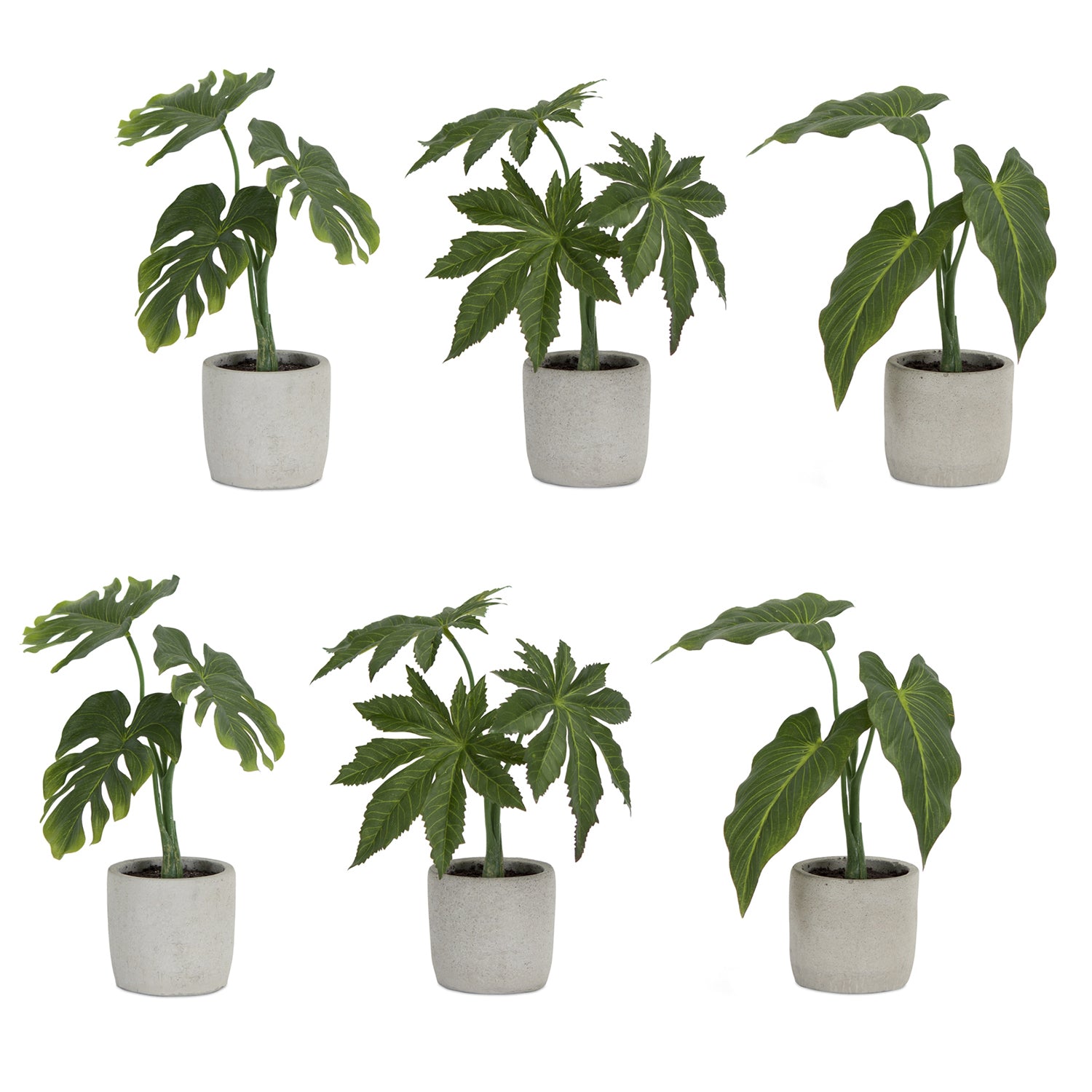 assorted foliage plant indoor Potted Foliage (Set of 6) 10"H, 10.5"H, 11.5"H Polyester/Plastic