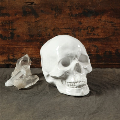 Skull Sculpture