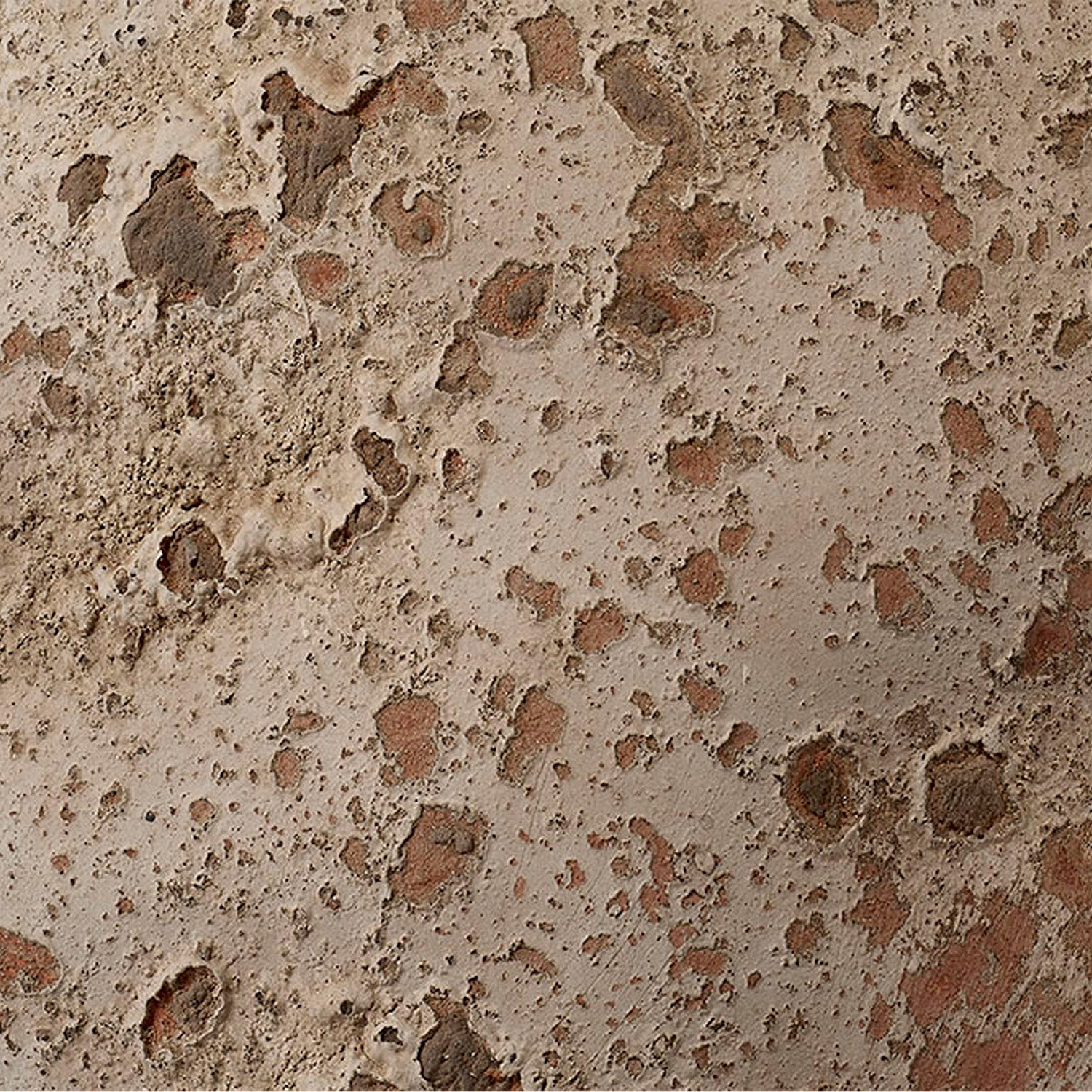 Jamie Young Branch Decorative Vase