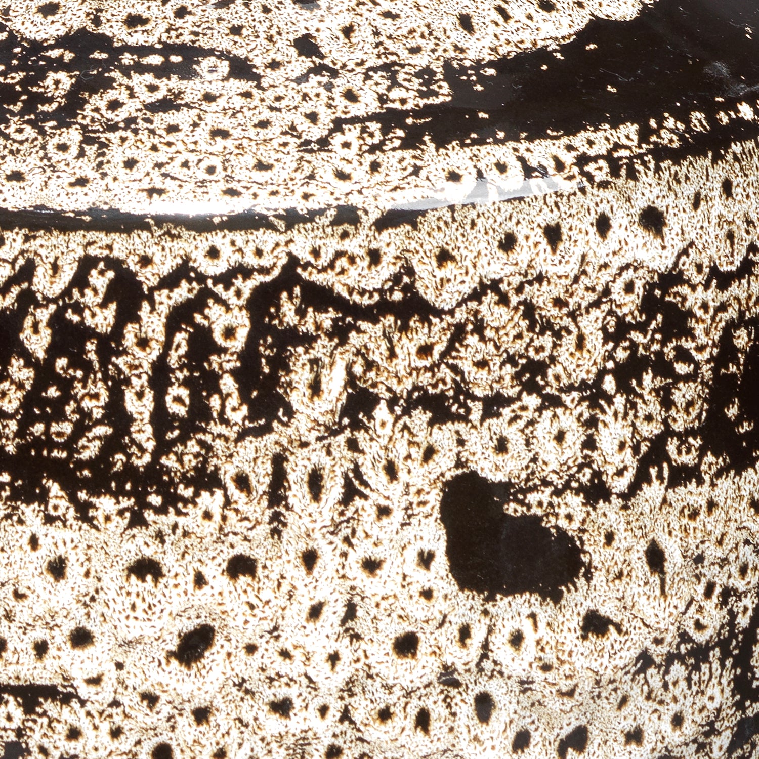 Jamie Young Jones Vase