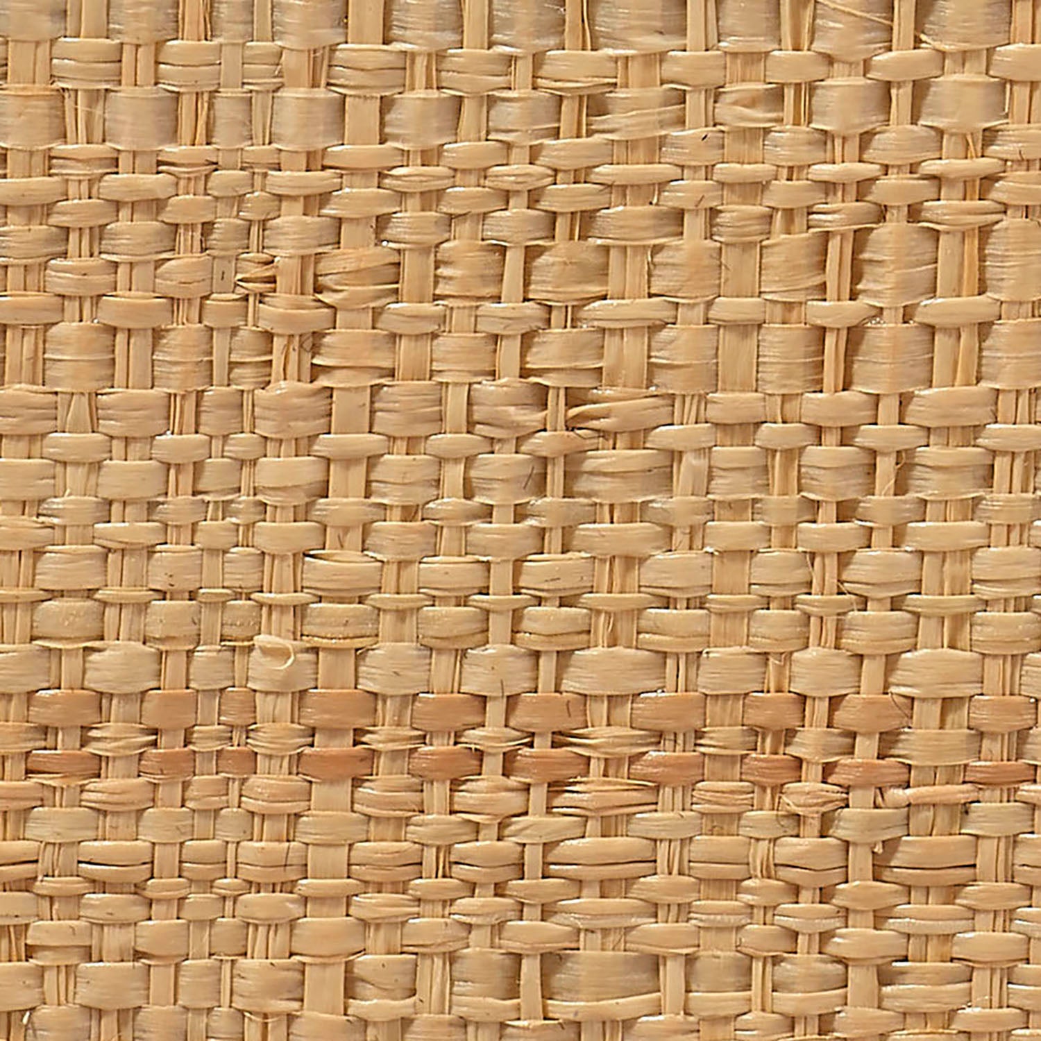 Jamie Young Wonderland Scalloped Small Tray