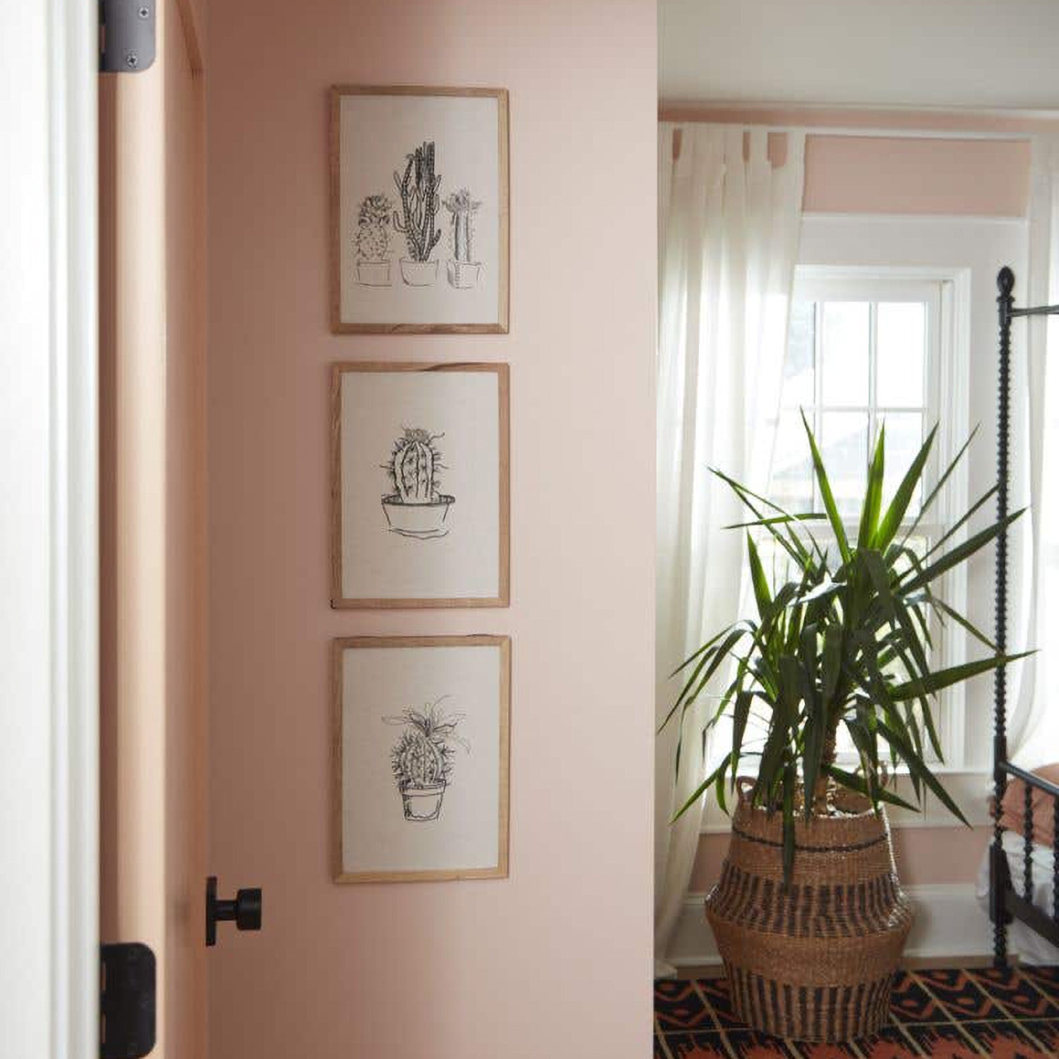 Tatacoa Barrel Cactus Wall Art