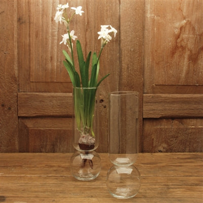 Bulb Clear Vase
