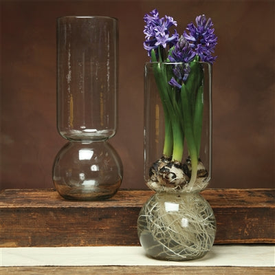Bulb Clear Vase