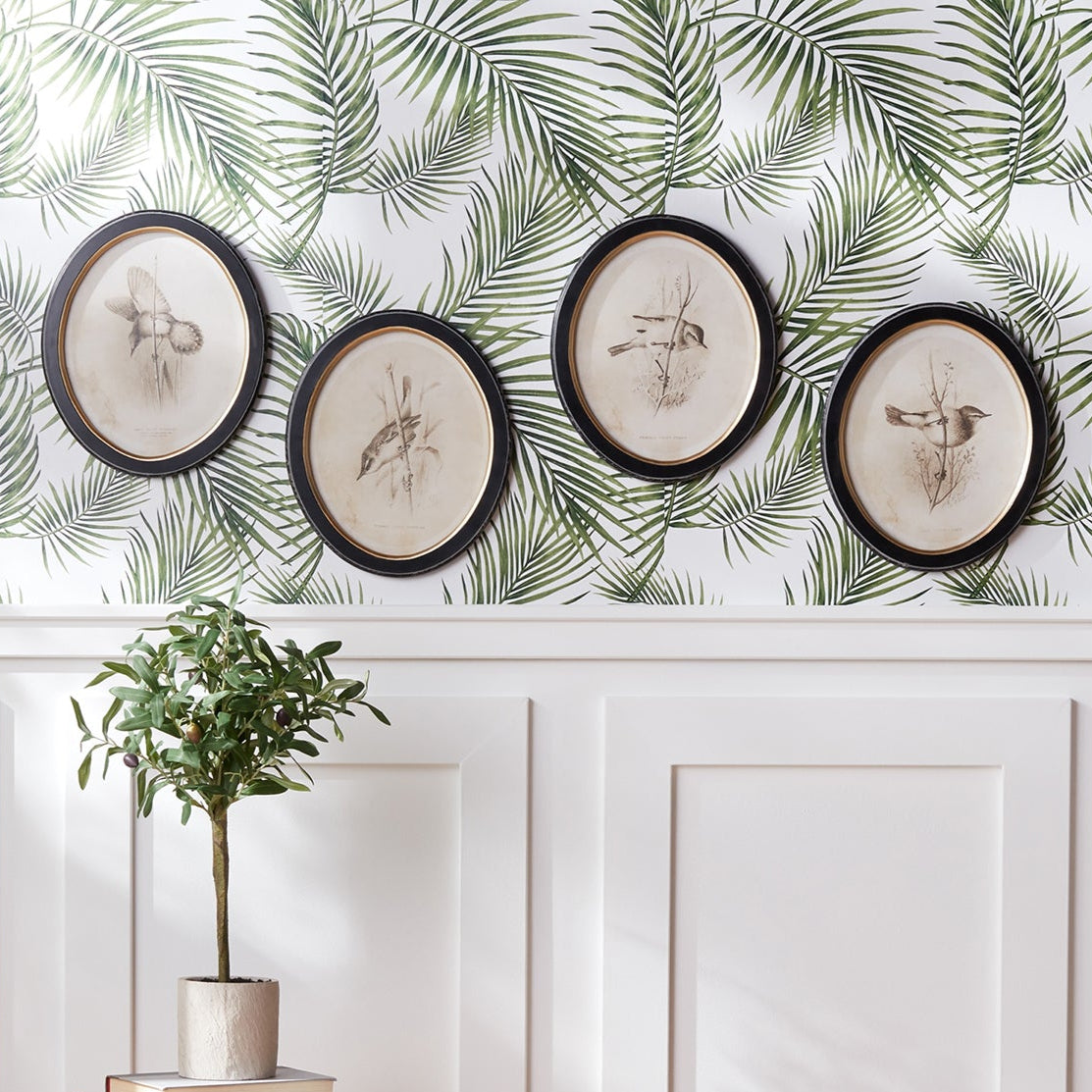 Framed Bird Print Set of 4