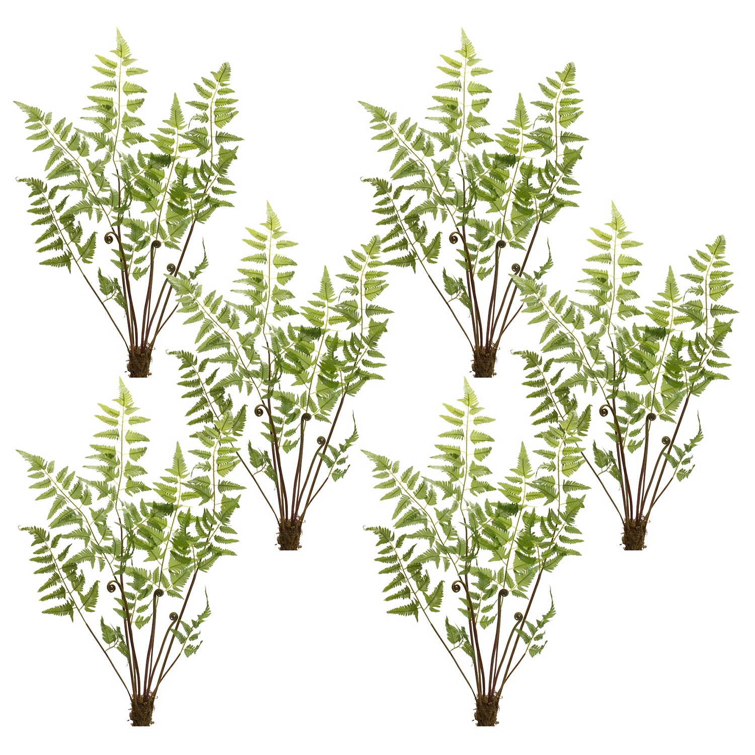 Varigated Fern Bundle with Sprout Accents Set of 6