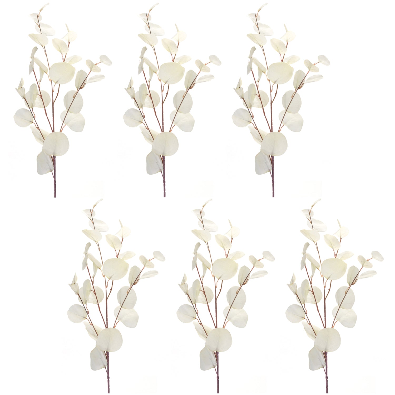 Silver Dollar Eucalyptus Leaf Spray Set of 6