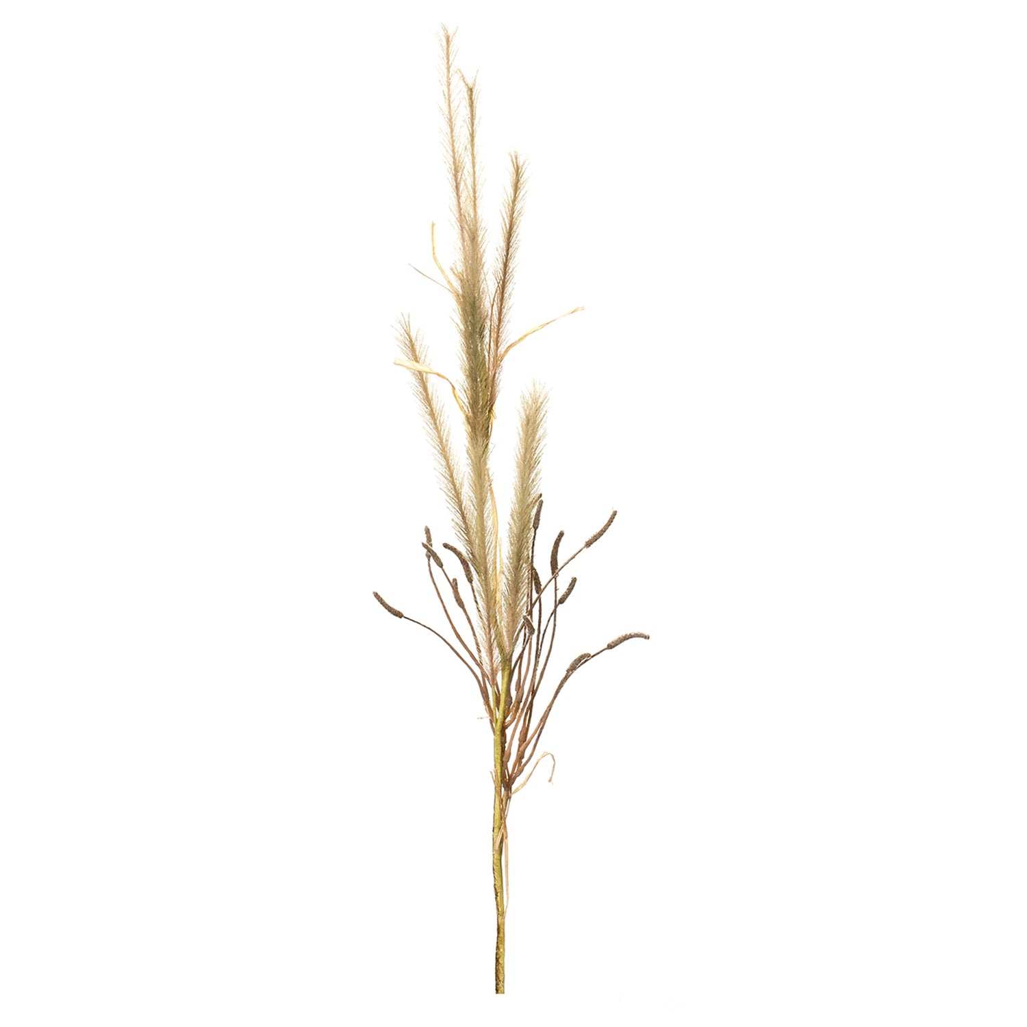 Foxtail Grass Spray Set of 2