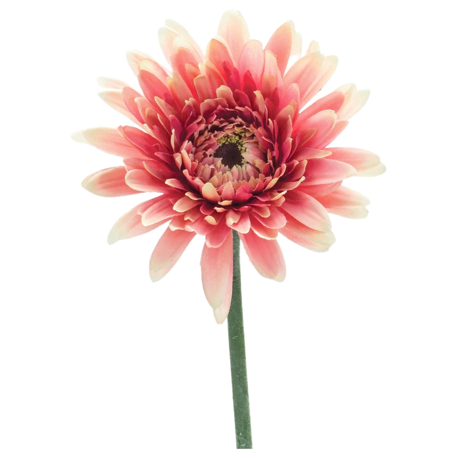 Gerbera Daisy Floral Stem Set of 6