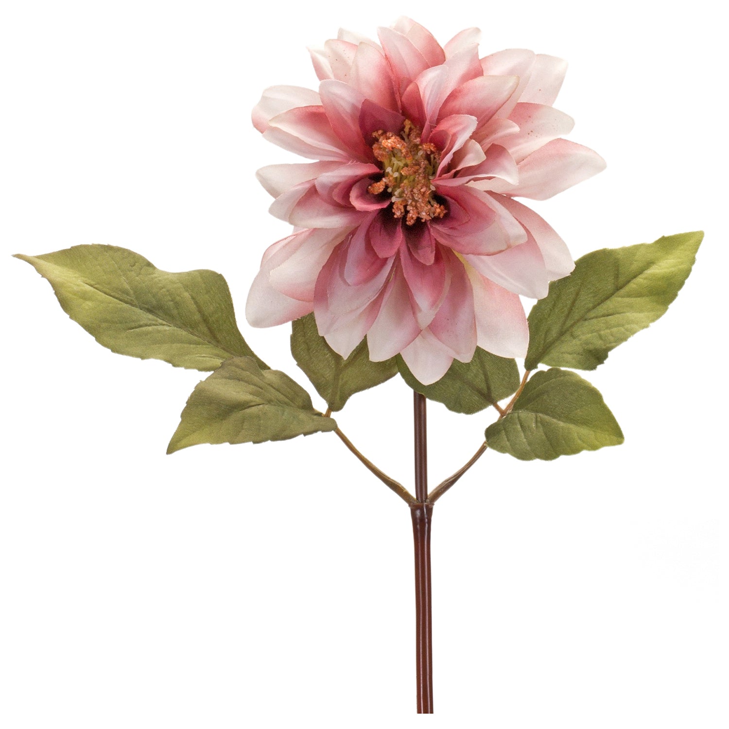 Blush Pink Dahlia Flower Stem Set of 6