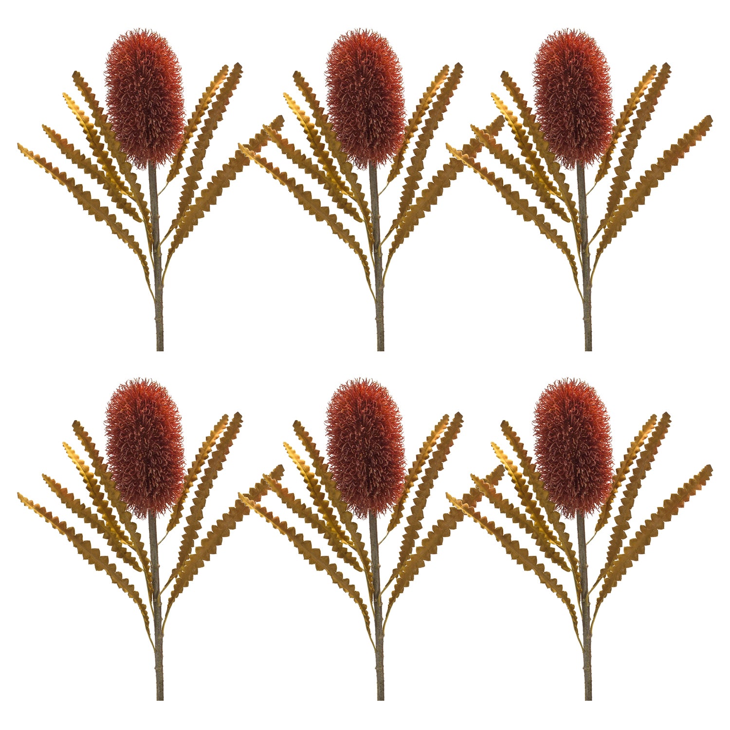 Burnt Orange Banksia Floral Stem Set of 6