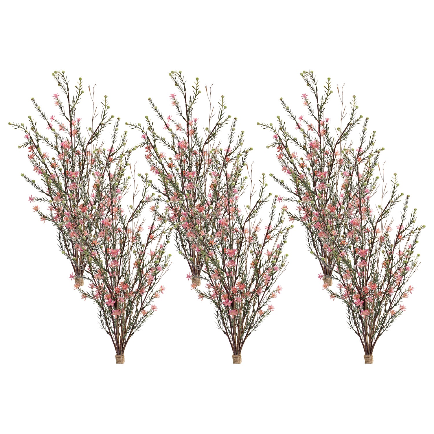 Leptospermum Flower Bundle Set of 6