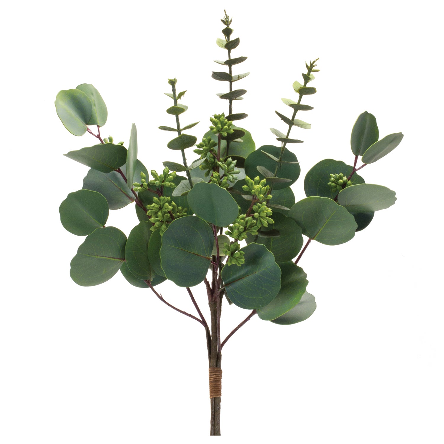 Mixed Eucalyptus Bundle Set of 6