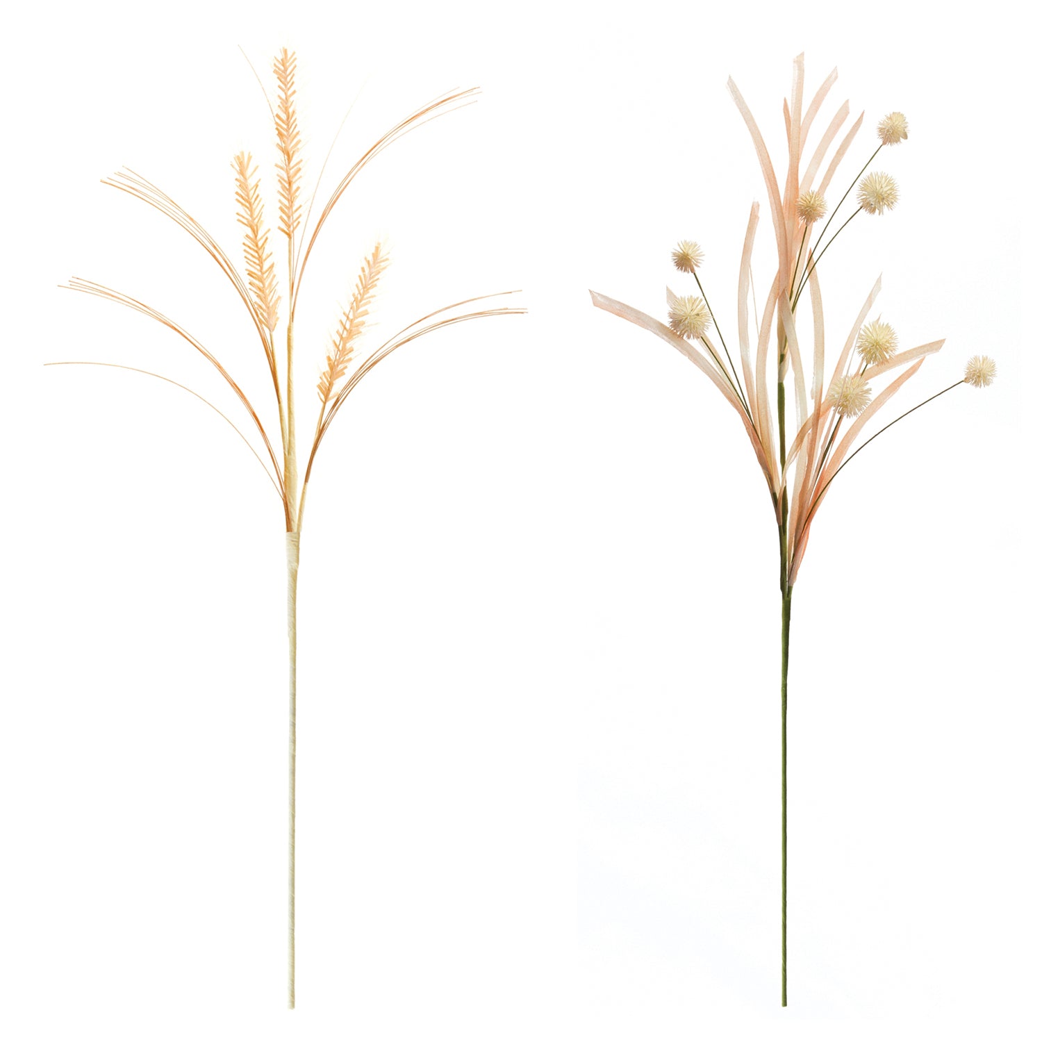 Foxtail and Pod Spray Set of 12