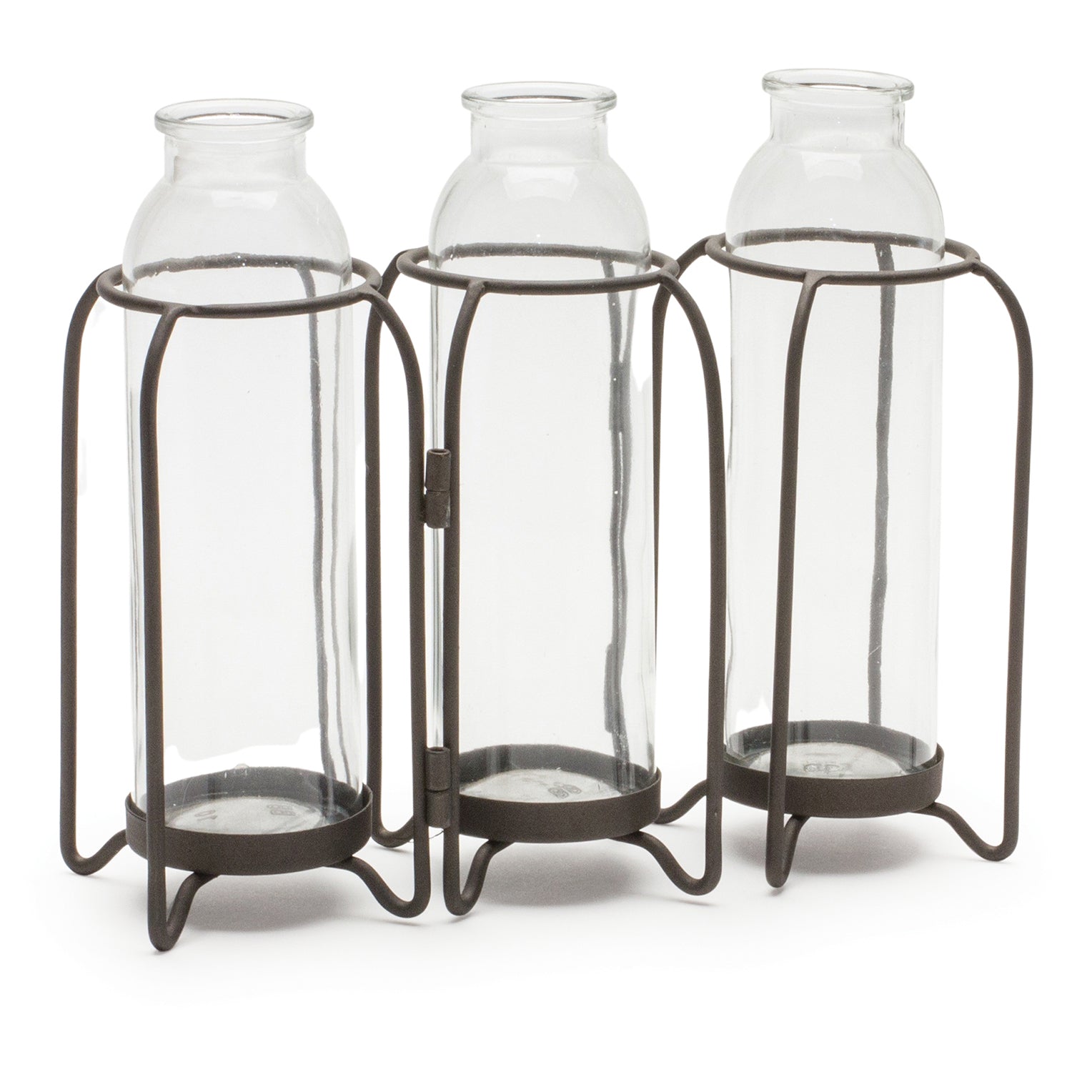 Bottle Vases in Iron Holder