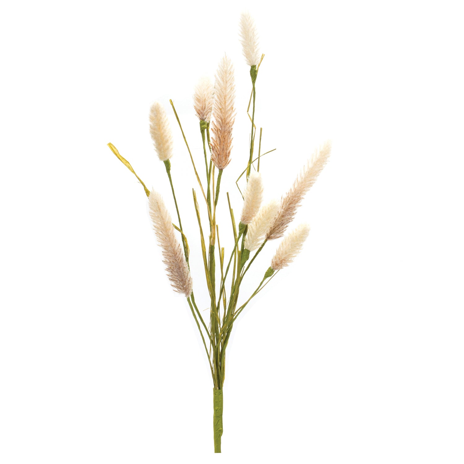 Colorful Foxtail Spray Set of 6